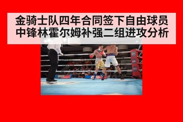 金骑士队四年合同签下自由球员中锋林霍尔姆补强二组进攻分析