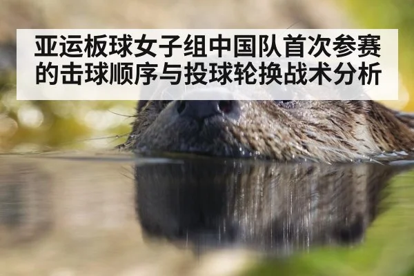 亚运板球女子组中国队首次参赛的击球顺序与投球轮换战术分析
